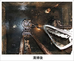 �r�������|�ɂ�鐴�|��